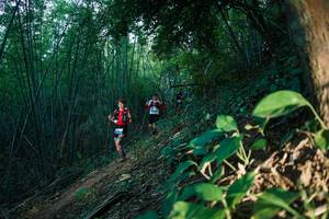 BIB: 
                            <button type="button" onclick="openModal(28124572)" class="btn btn-primary btn-sm float-right btn-popup" data-toggle="modal" data-target=".modal-high-quality">
                        <i class="fas fa-shopping-cart"></i> Add to Cart
                    </button>
                                            <button type="button" onclick="isThisMe(28124572, true)" class="btn btn-success btn-sm float-right btn-popup btn-isme hidden" data-toggle="tooltip" data-placement="bottom" title="นี่คือรูปของคุณใช่ไหม คลิกที่นี่เพื่อเอาเข้าอัลบั้ม">
                        <i class="fas fa-plus"></i> Add to album
                    </button>
                    <button type="button" onclick="isThisMe(28124572, false)" class="btn btn-warning btn-sm float-right btn-popup btn-isnotme hidden">
                        <i class="fas fa-ban"></i> Remove from album
                    </button>